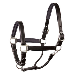 Padded Leather Halter