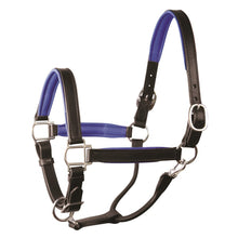 Load image into Gallery viewer, Padded Leather Halter