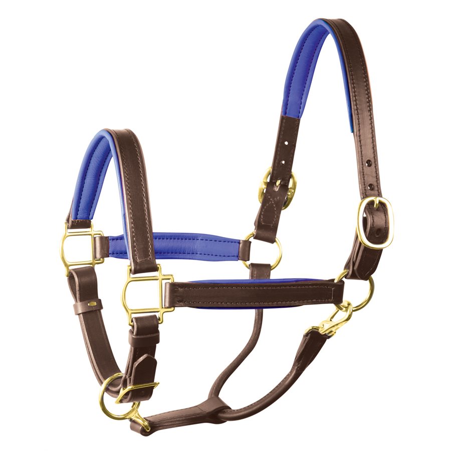 Padded Leather Halter