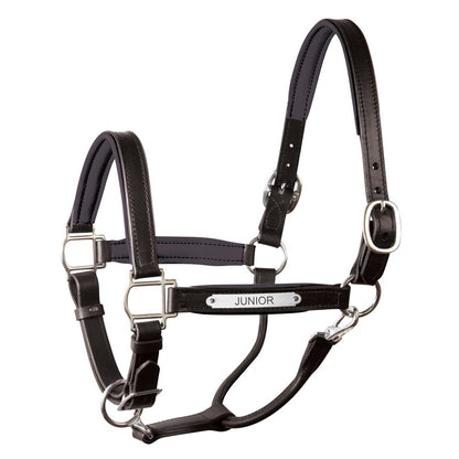 Padded Leather Halter with Plate
