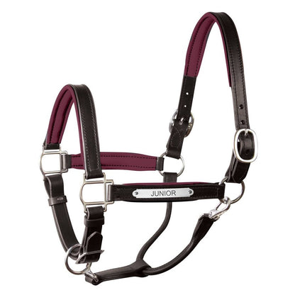 Padded Leather Halter with Plate