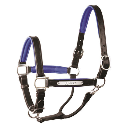 Padded Leather Halter with Plate