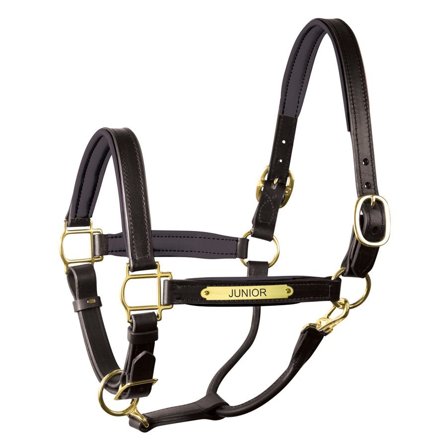 Padded Leather Halter with Plate