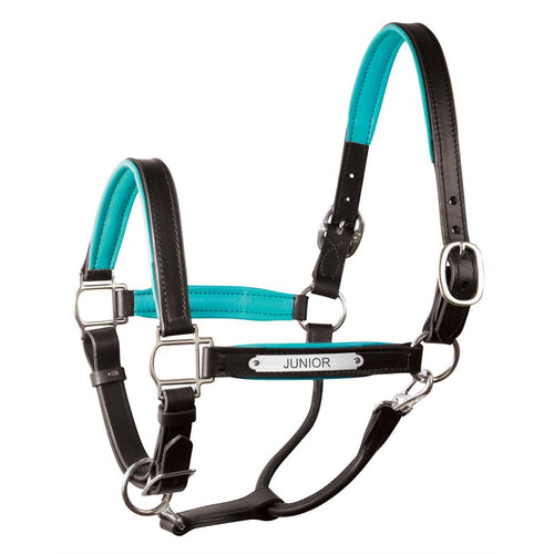 Padded Leather Halter with Plate