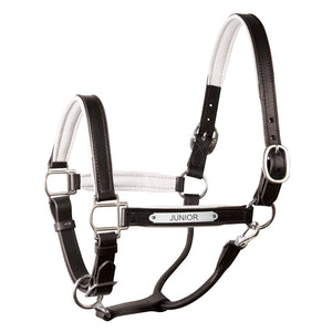 Padded Leather Halter with Plate