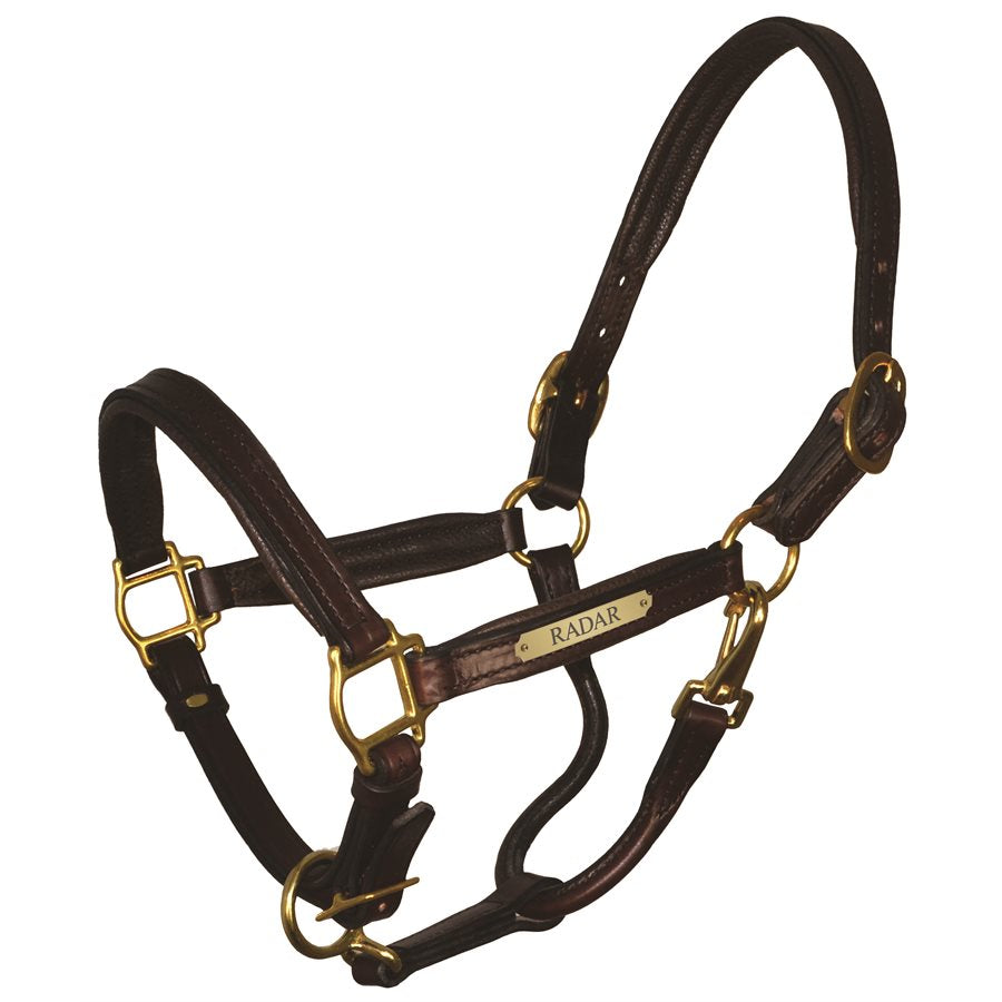 Padded Leather Halter with Plate