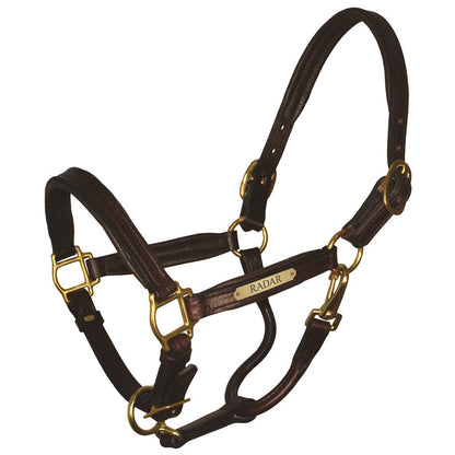 Padded Leather Halter with Plate