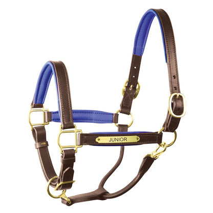 Padded Leather Halter with Plate