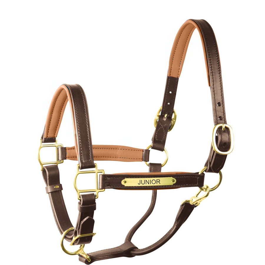 Padded Leather Halter with Plate