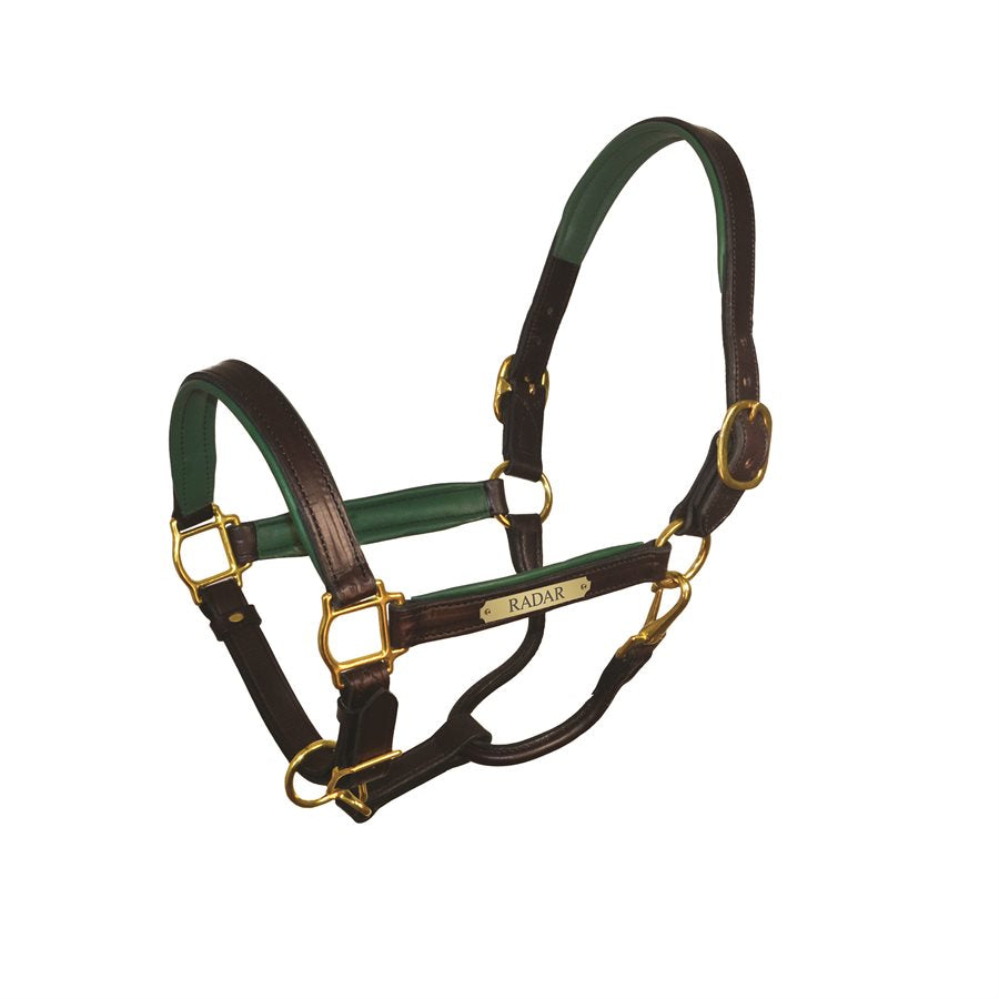Padded Leather Halter with Plate