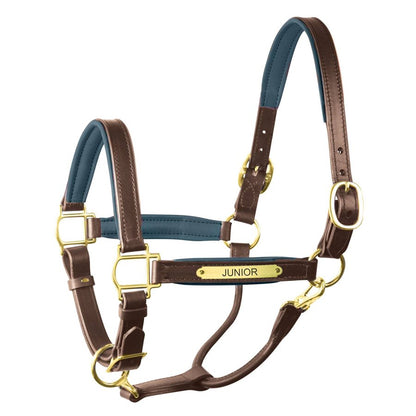 Padded Leather Halter with Plate