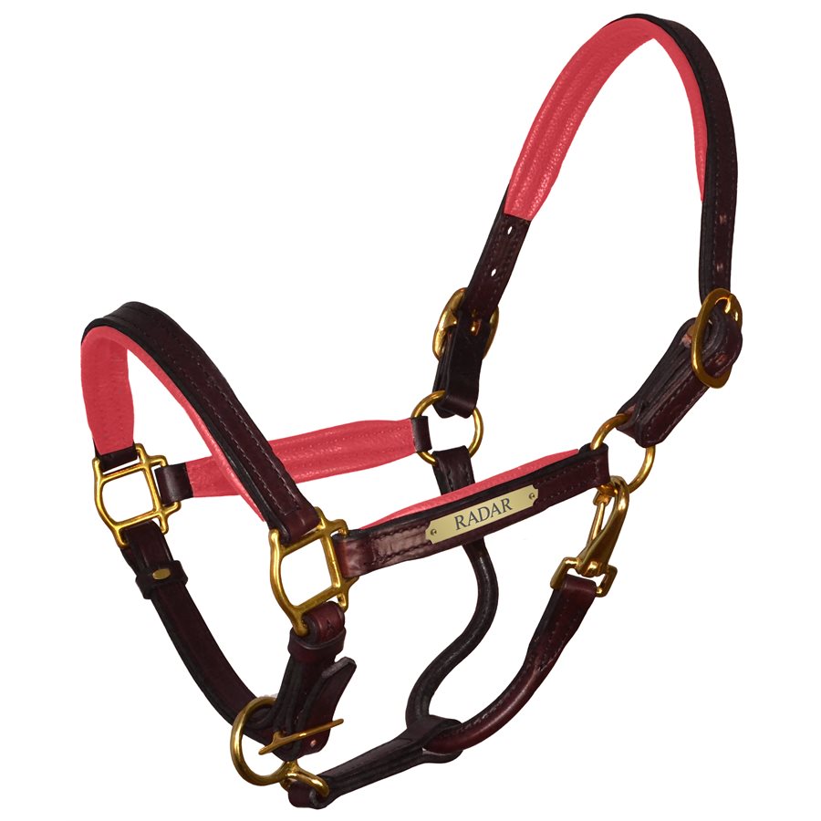 Padded Leather Halter with Plate