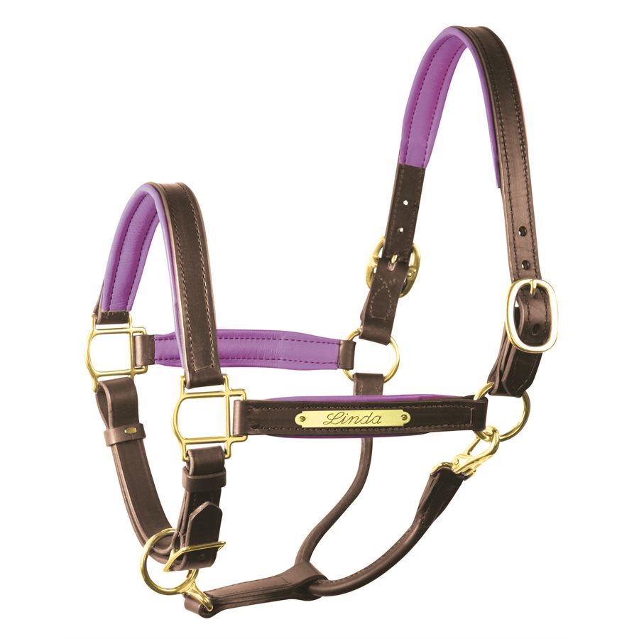 Padded Leather Halter with Plate