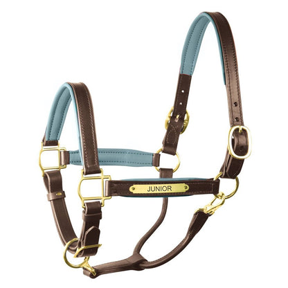 Padded Leather Halter with Plate