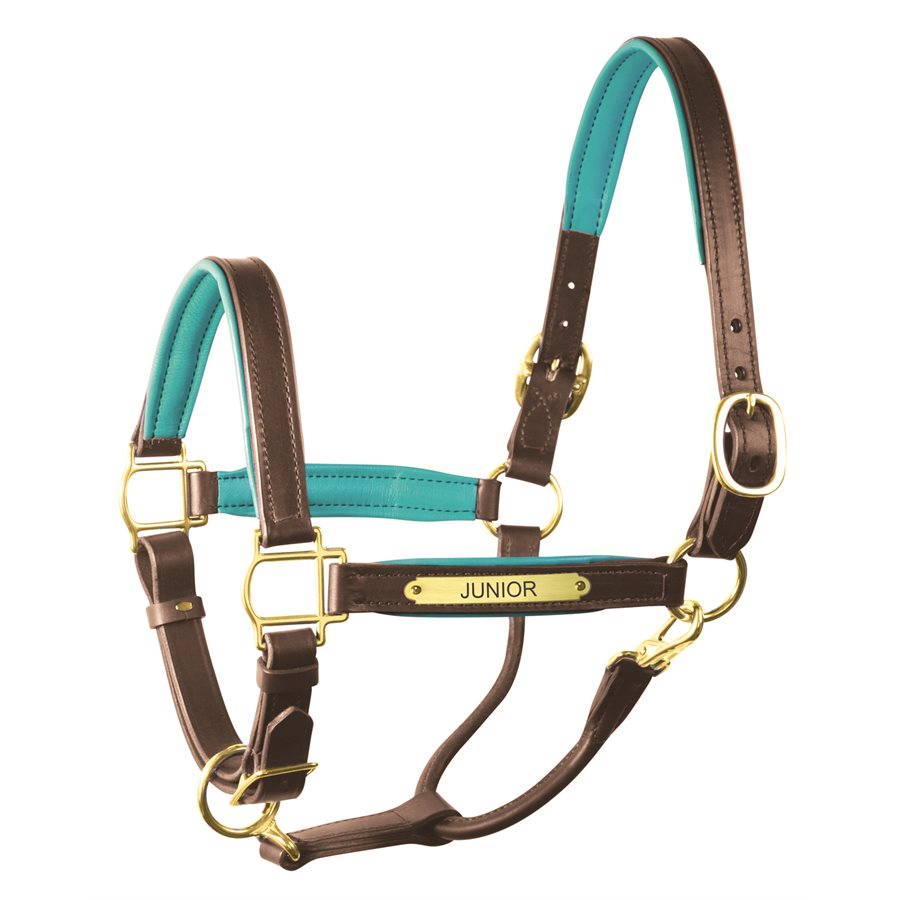 Padded Leather Halter with Plate