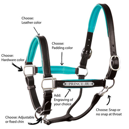 Custom Padded Leather Halter w/plate