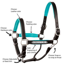 Load image into Gallery viewer, Custom Padded Leather Halter w/plate