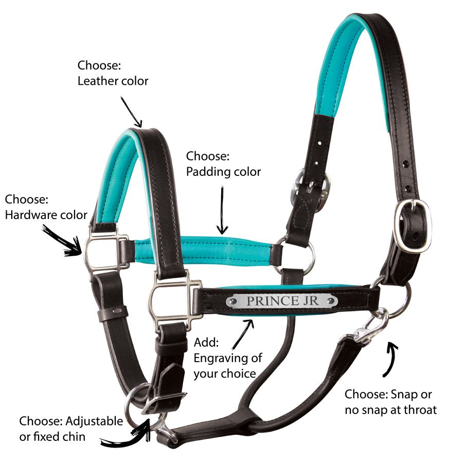 Custom Padded Leather Halter w/plate