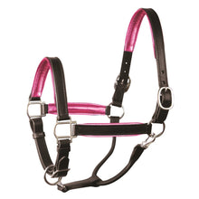 Load image into Gallery viewer, Padded Leather Halter