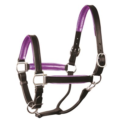 Padded Leather Halter
