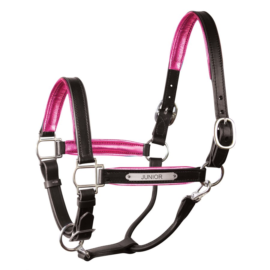 Padded Leather Halter with Plate