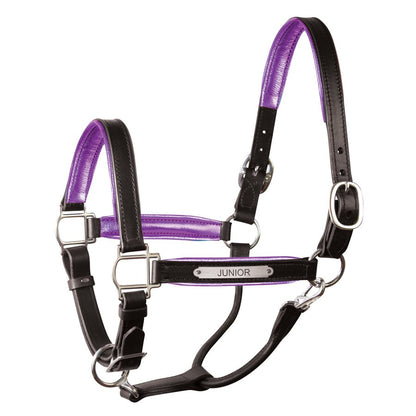 Padded Leather Halter with Plate