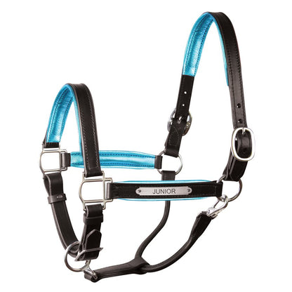 Padded Leather Halter with Plate