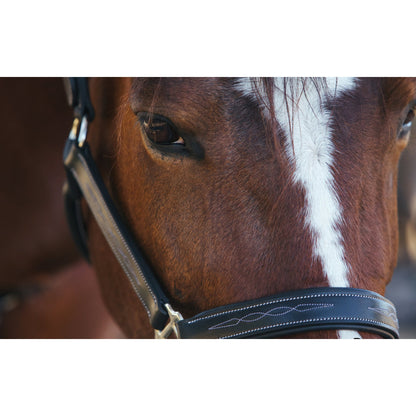 Fancy Stitch Padded Leather Halter