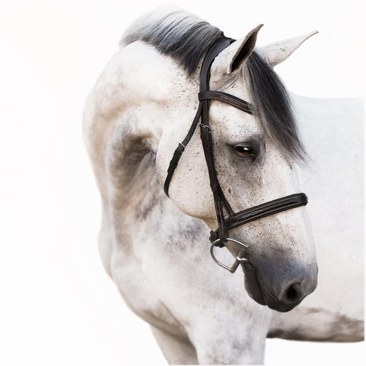 Milan Italian Leather Bridle (Convertible) (No reins)