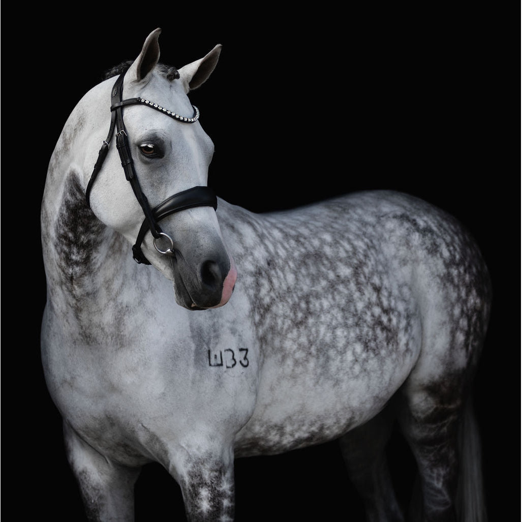 Abigail Black Italian Leather Bridle (No reins)