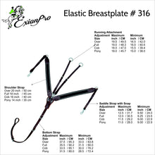 Load image into Gallery viewer, 3 Point Breastplate - Grey/White Elastic - Black/Stainless Steel - Pony Size