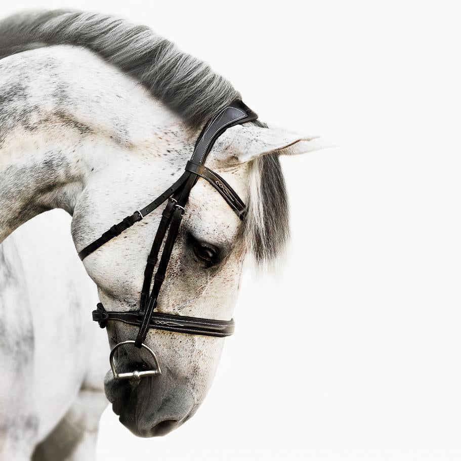 Milan Italian Leather Bridle (Convertible) (No reins)