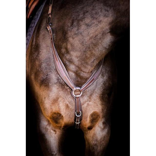Fancy Stitch 3 Point Wing Breastplate - Black/Stainless steel - Cob Size