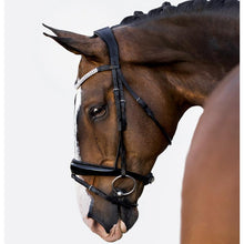 Load image into Gallery viewer, Amie Rolled Italian Leather Bridle (Hanoverian) - Black