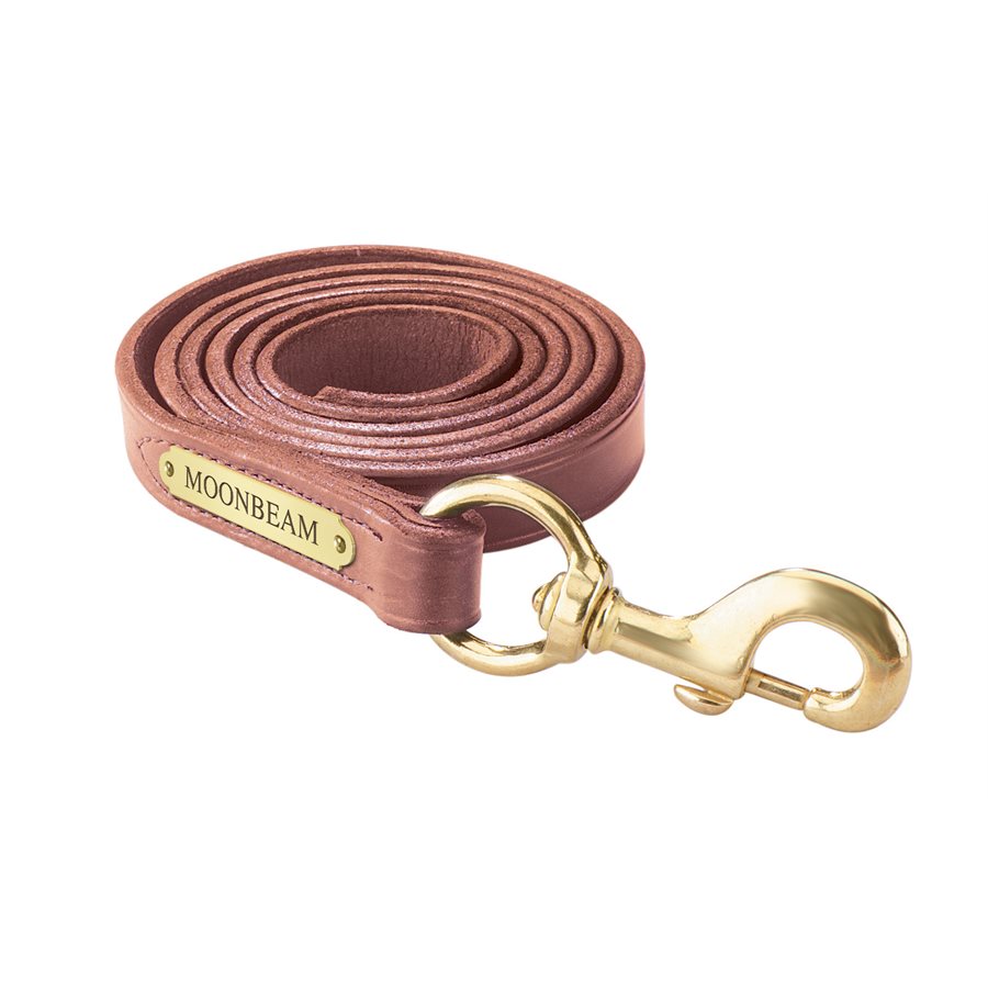 Leather Lead w/snap & plate