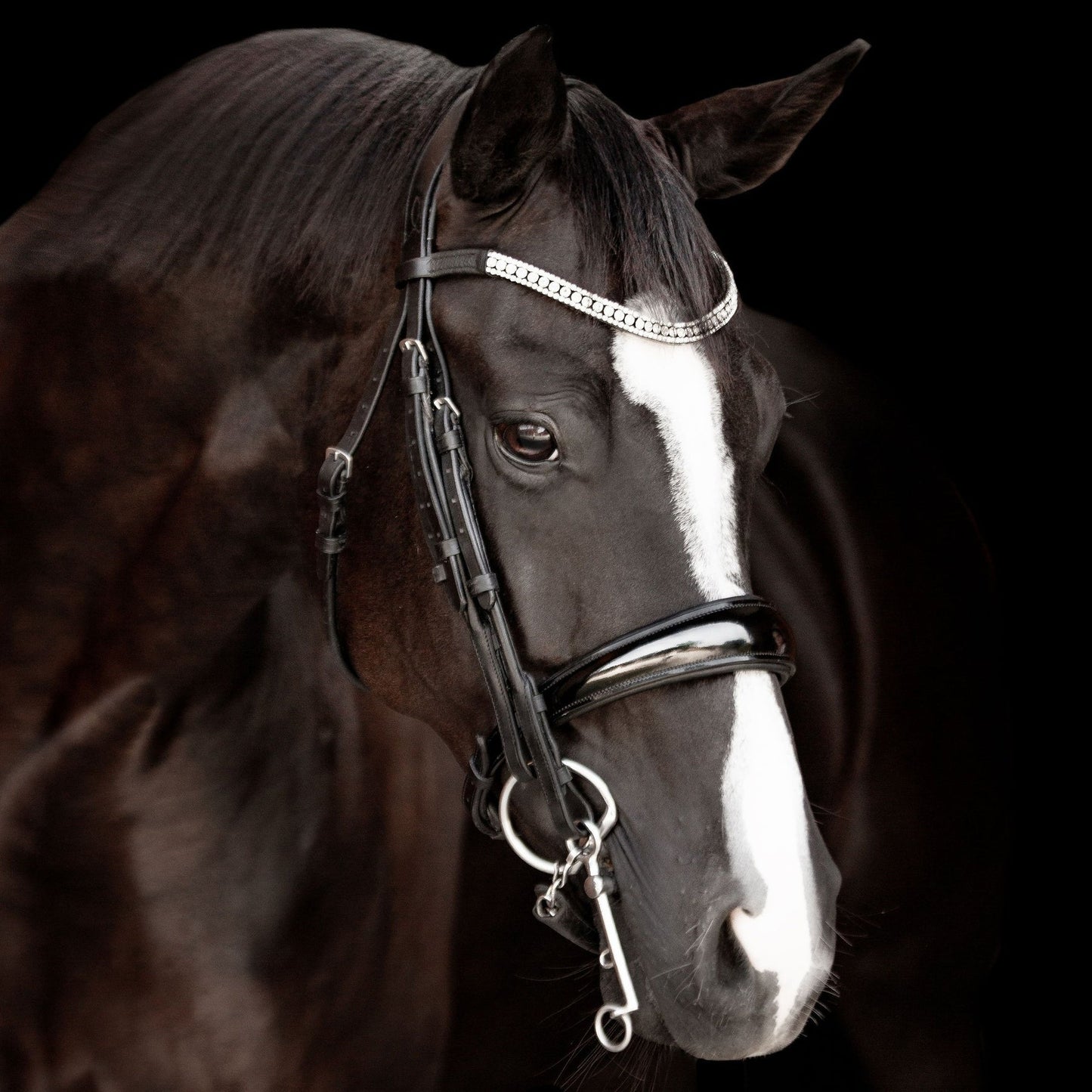 Amie Luxury Leather Bridle - (Double) (No reins)