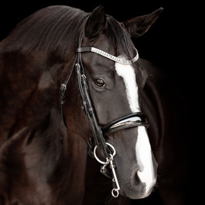 Amie Rolled Italian Leather Bridle - (Double)