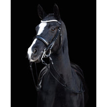 Load image into Gallery viewer, Amie Rolled Italian Leather Bridle - (Double)