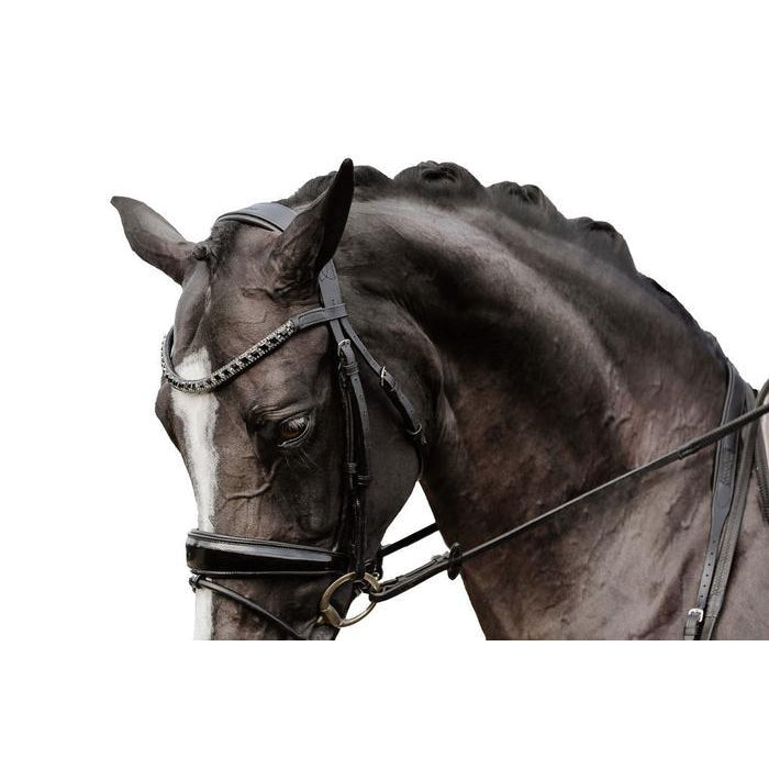 Audrey Rolled Leather Bridle (Hanoverian) (No reins)