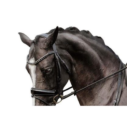 Audrey Rolled Leather Bridle (Hanoverian) (No reins)