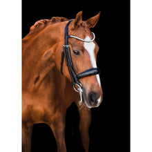 Load image into Gallery viewer, Abigail Black Italian Leather Bridle (Double)