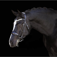 Load image into Gallery viewer, Amie Rolled Italian Leather Bridle - (Double)