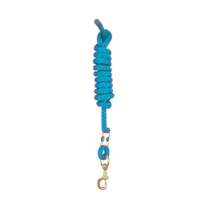 Turquoise Nylon Lead