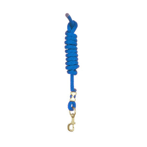 Royal Blue Nylon Lead