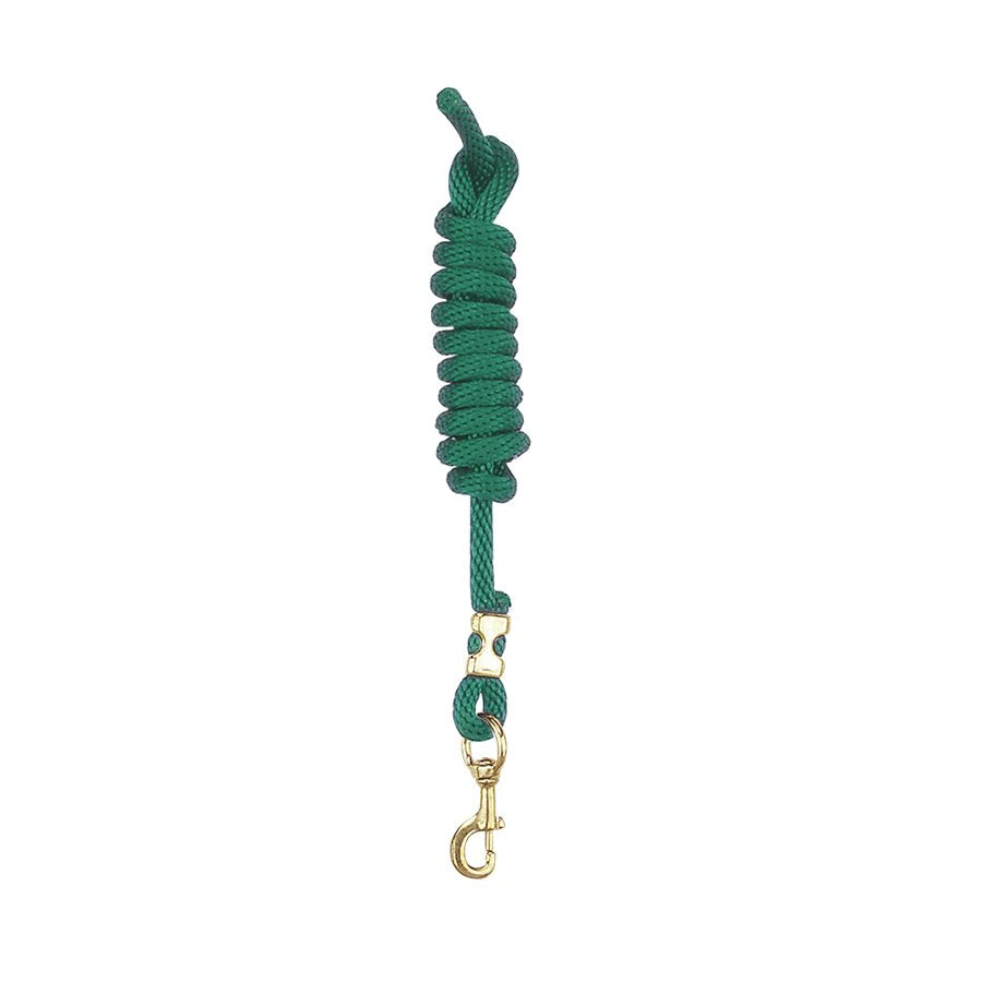 Hunter Green Nylon Lead