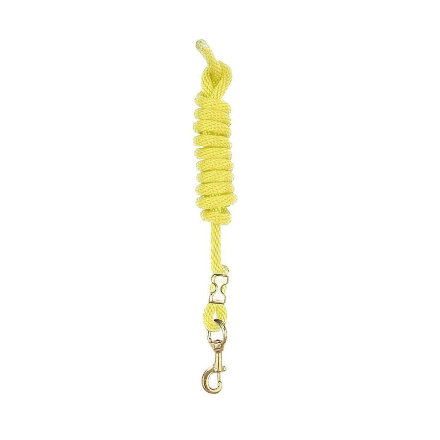 Yellow Nylon Lead