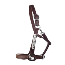 Load image into Gallery viewer, Leather Halter - Silver Fittings with Engraved Horse Nameplate