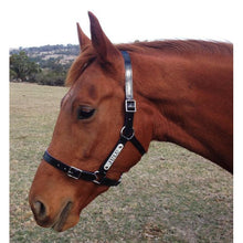 Load image into Gallery viewer, Black PVC Halter - Silver Fittings with Engraved Horse Nameplate
