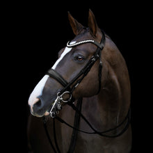 Load image into Gallery viewer, Athens Luxury Leather Bridle (Double) (No reins)