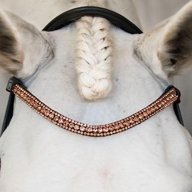 Rose Gold Crystal Browband - Black/Cob Size